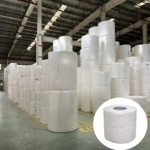 Toilet Paper Jumbo Roll